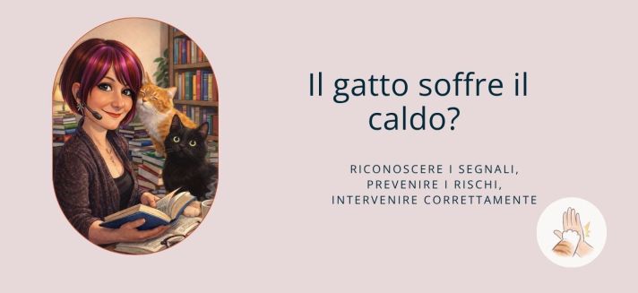 Gatto che riposa in estate mentre cerca fresco e tranquillità durante le giornate calde.