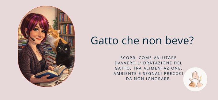 gatto vicino alla ciotola dell’acqua osservazione idratazione felina