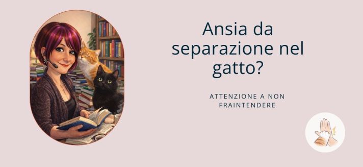 gatto domestico seduto vicino alla porta di casa mentre resta solo, comportamento legato alla separazione