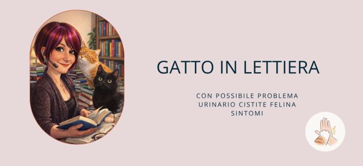 Sintomi, cause e gestione della cistite felina e FLUTD. Scopri quando è un’urgenza veterinaria e come stress e ambiente influenzano la salute urinaria del gatto.