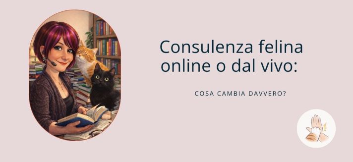 Consulenza felina online con gatto osservato nel suo ambiente domestico