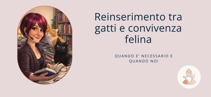 Due gatti in casa durante un percorso di reinserimento graduale seguito da una consulente felina.