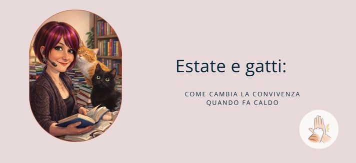 Gatto che riposa in casa durante l’estate, in un ambiente fresco e tranquillo.